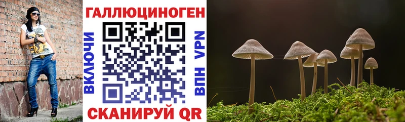 Галлюциногенные грибы GOLDEN TEACHER  Шагонар 