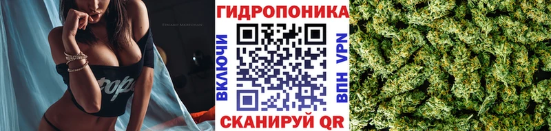 Каннабис ГИДРОПОН  купить наркоту  Шагонар 